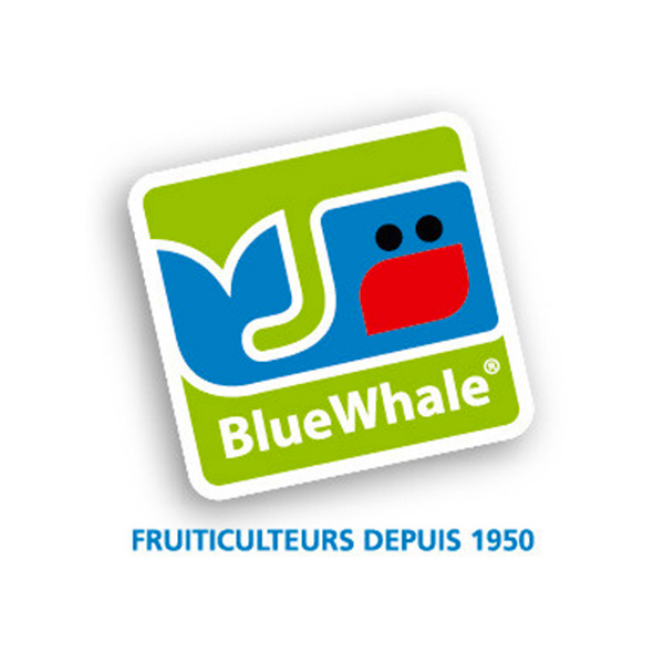 Blue Whale