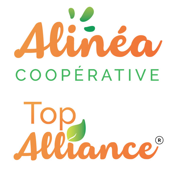 Top Alliance – Alinéa