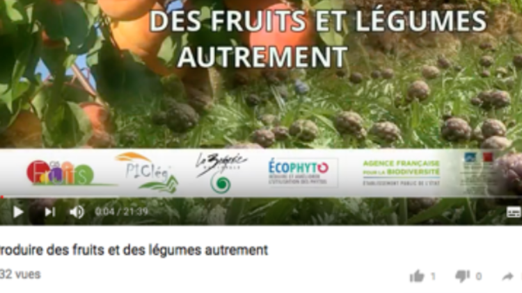 Produire des fruits et des légumes autrement