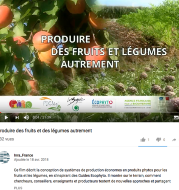 produirevideo.png
