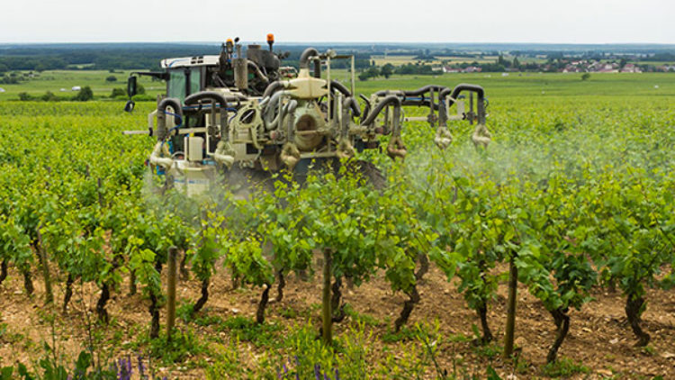Pourquoi les agriculteurs ont tant de mal à lâcher les phyto