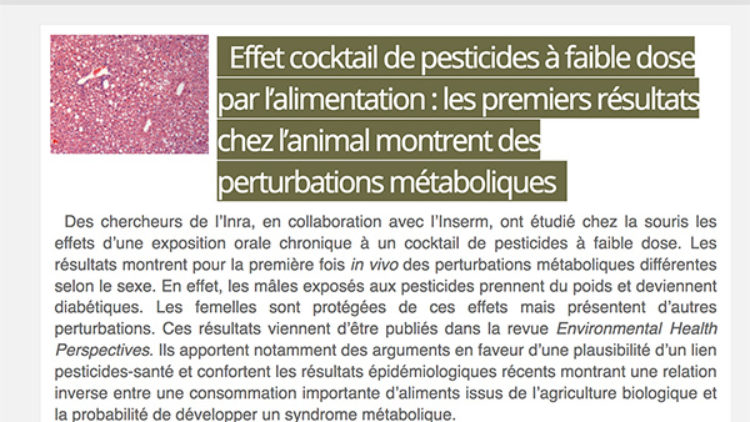Effet cocktail de pesticides à faible dose par l’alimentation…