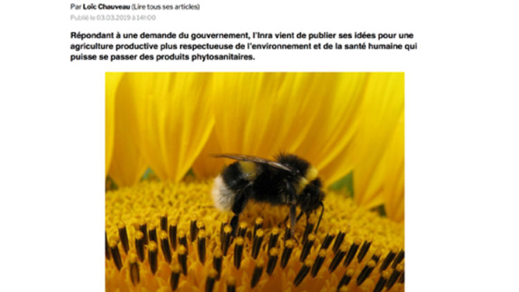 3 voies pour réduire l&rsquo;usage des pesticides, selon l&rsquo;Inra