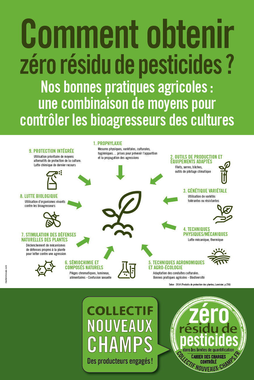 schema_bonnes_pratiques.png