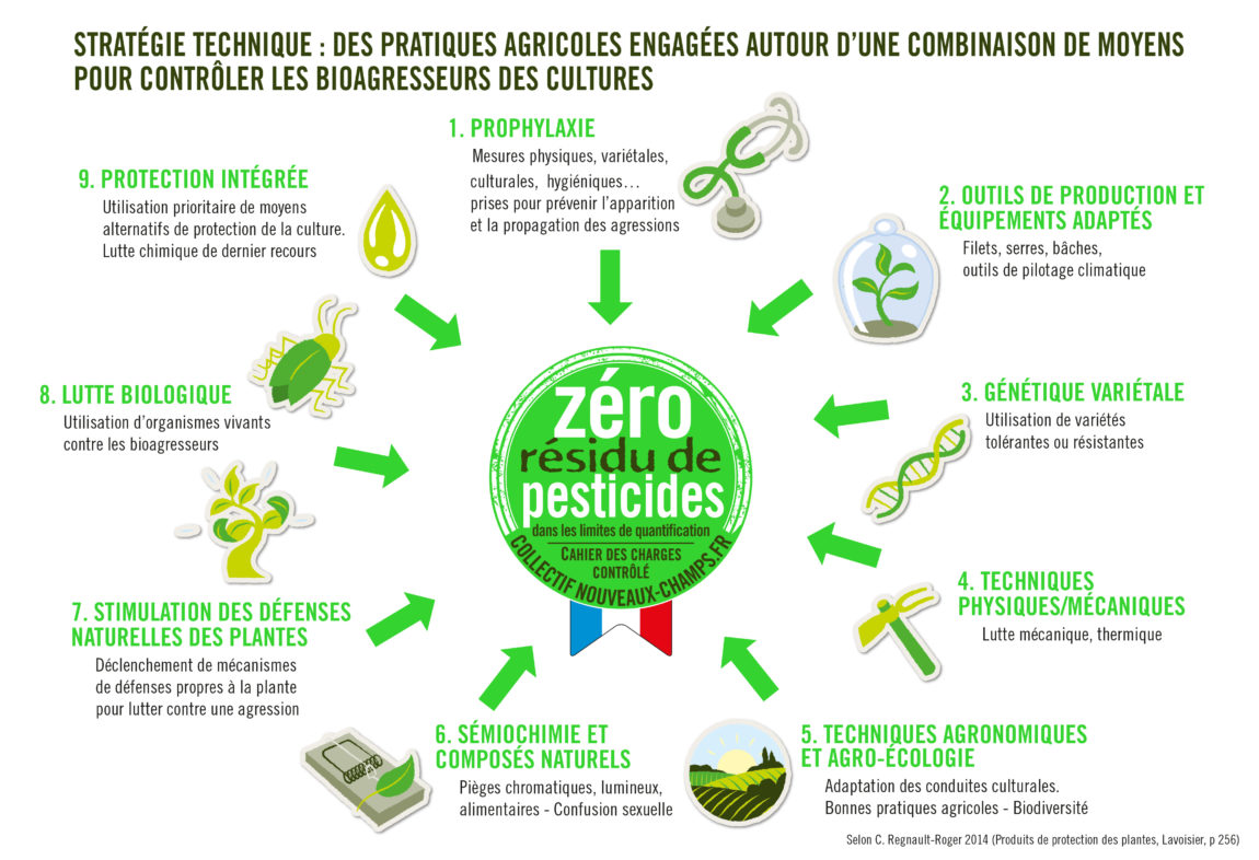 schema_bonnes_pratiques_fevrier_2020.jpg