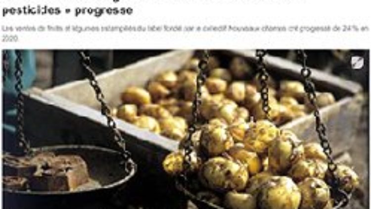 Vente de fruits et légumes : le label “Zéro résidu de pesticides” progresse