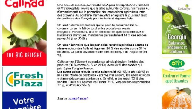 La confiance des consommateurs dans les fruits et légumes frais au plus haut niveau depuis 2015