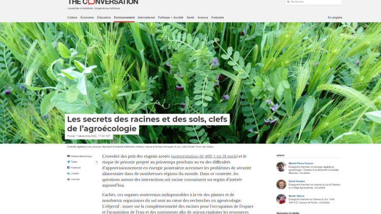 Les secrets des racines et des sols, clefs de l’agroécologie