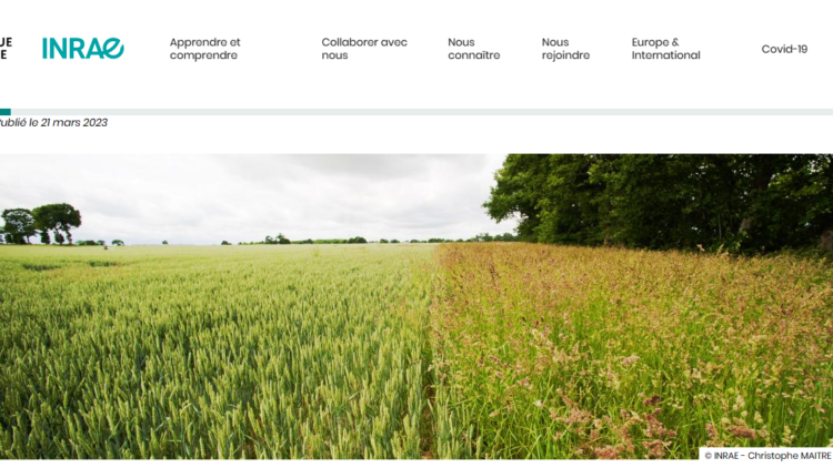 « Une agriculture européenne sans pesticides chimiques en 2050 ? » : résultats d’une étude prospective inédite
