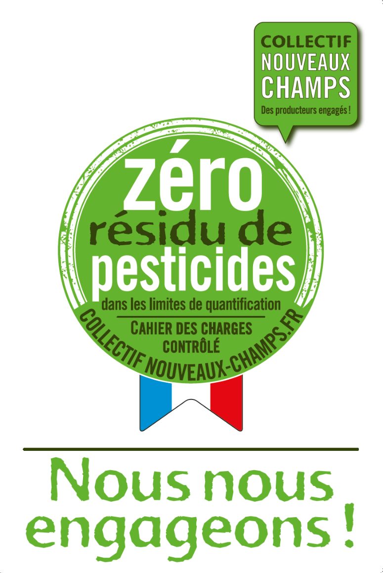 Capture-d’écran-2021-07-20-à-14.09.24-pdf.jpg
