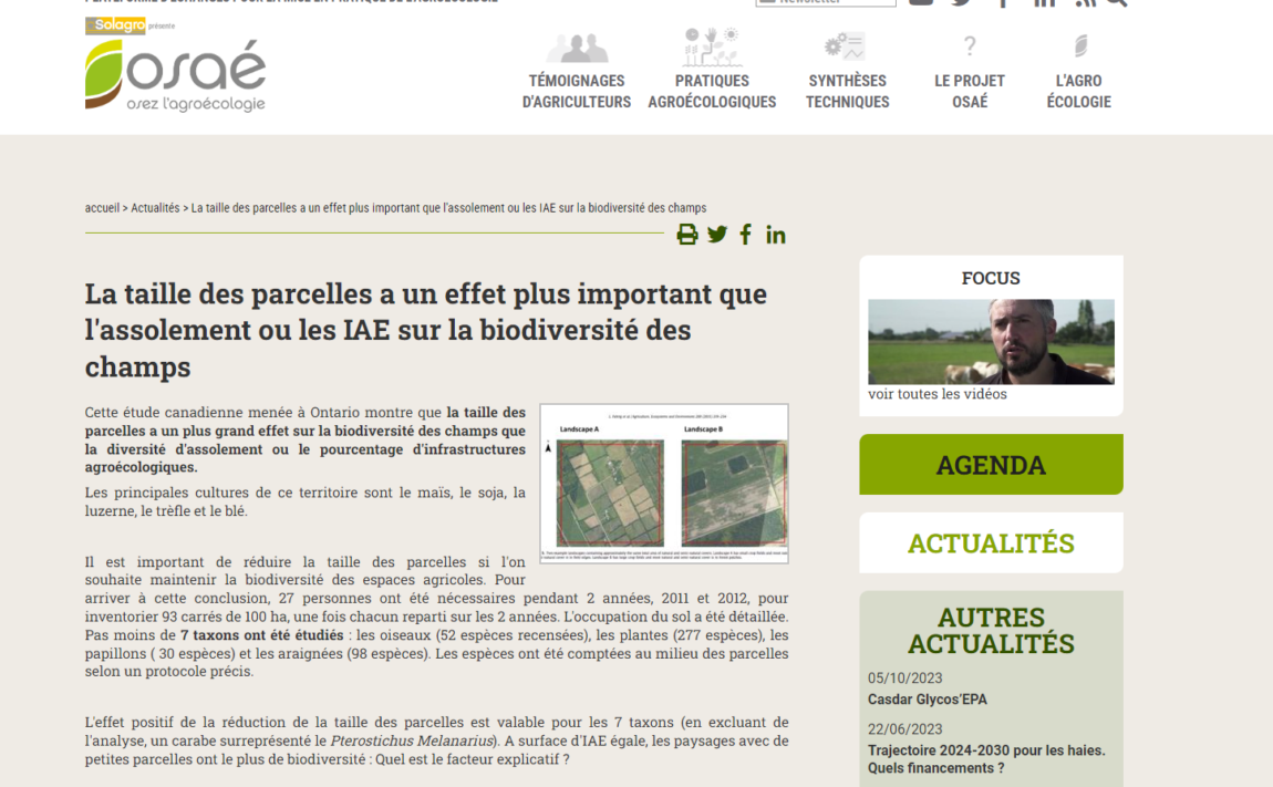 Taille-des-parcelles-.png