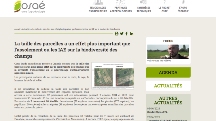 La taille des parcelles a un effet plus important que l’assolement ou les IAE sur la biodiversité des champs