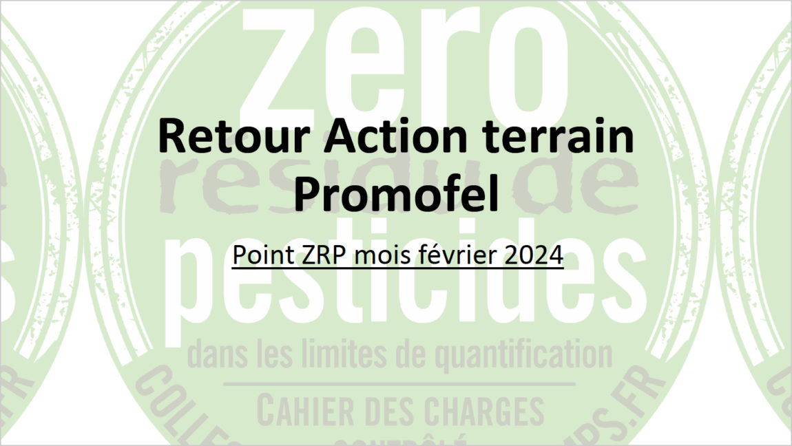 promofel_fevrier_2024.jpg