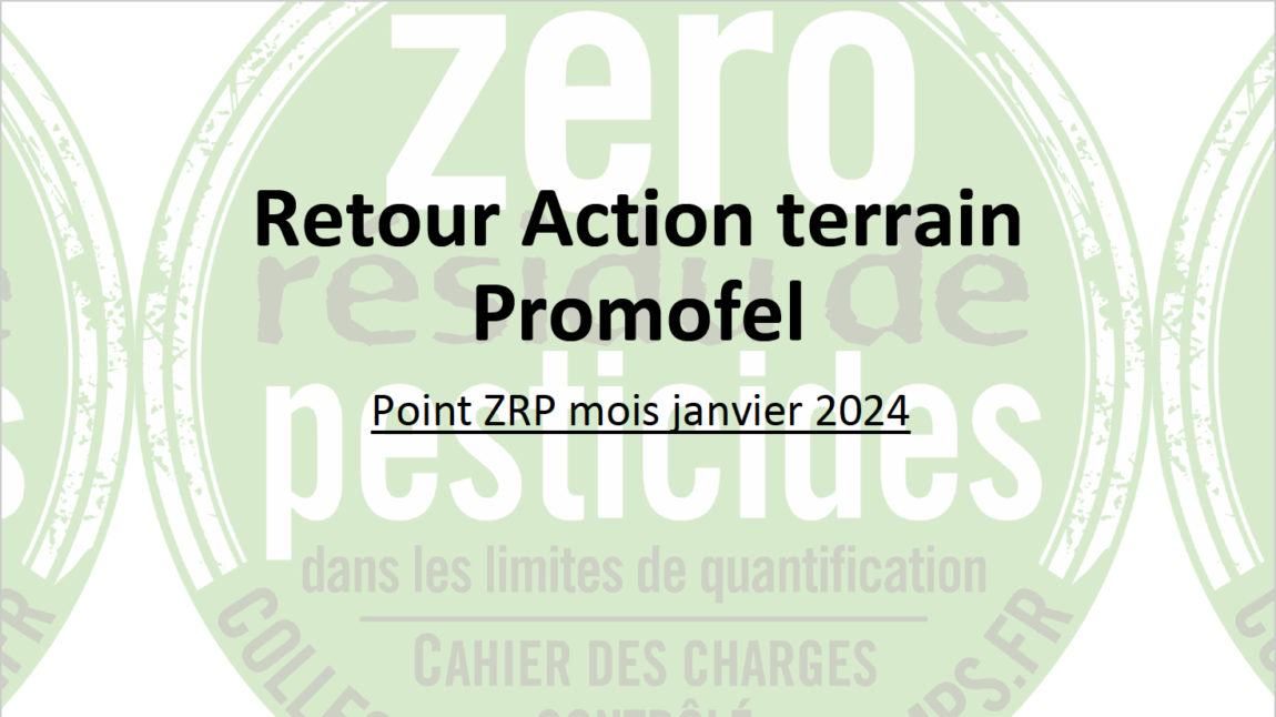 promofel_janvier_2024.jpg