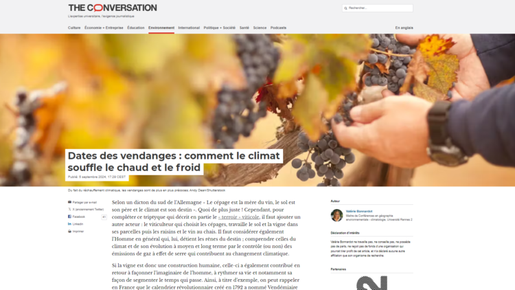 Dates des vendanges : comment le climat souffle le chaud et le froid