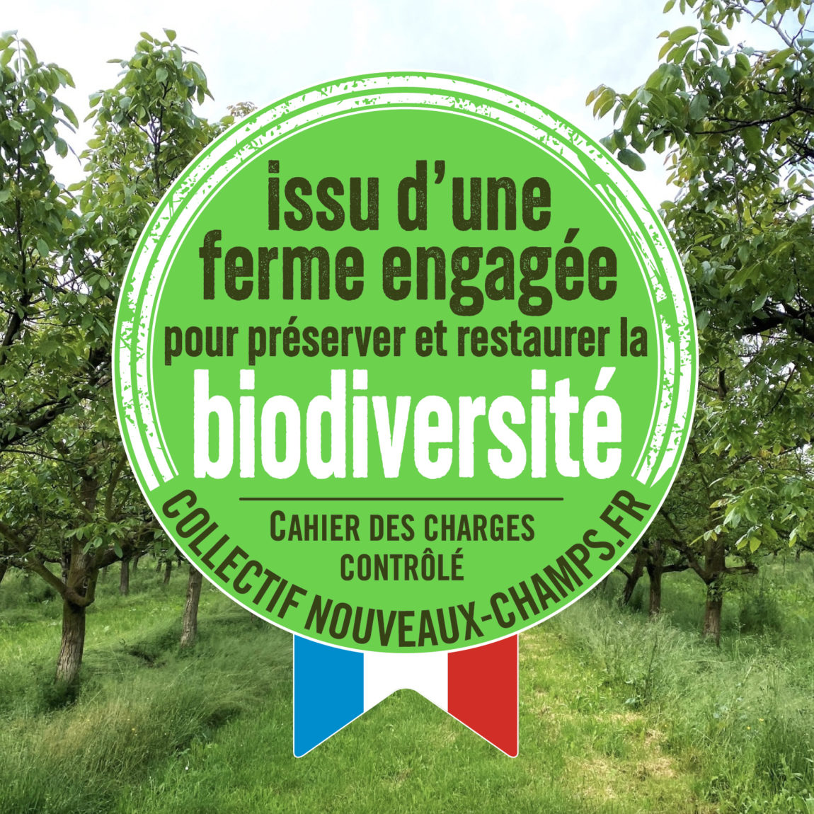 visuel_audits_2_biodiversite_newsletter_3_cnc.jpg