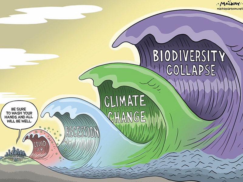 equilibre-environnementaux.jpg