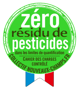 image-1.png