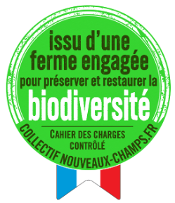 image-4-e1751359031261.png