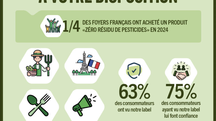 Des infographies simples pour vous aider à convaincre