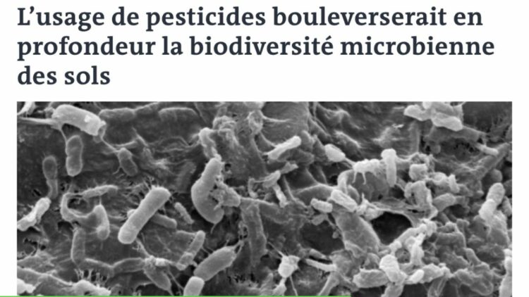 L’usage de pesticides bouleverserait en profondeur la biodiversité microbienne des sols