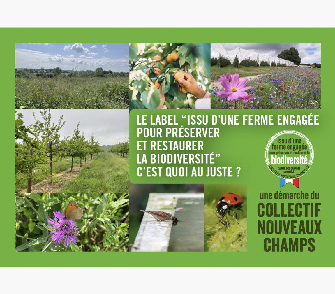 visu_brochure_biodiversite.jpg