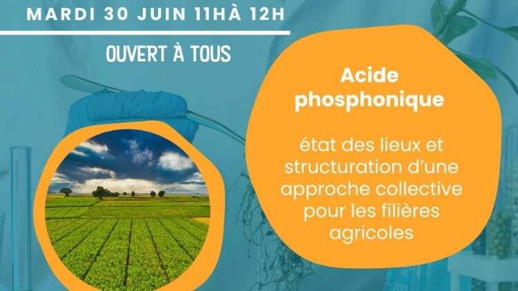 Acide phosphonique : un webinaire pour faire avancer la connaissance