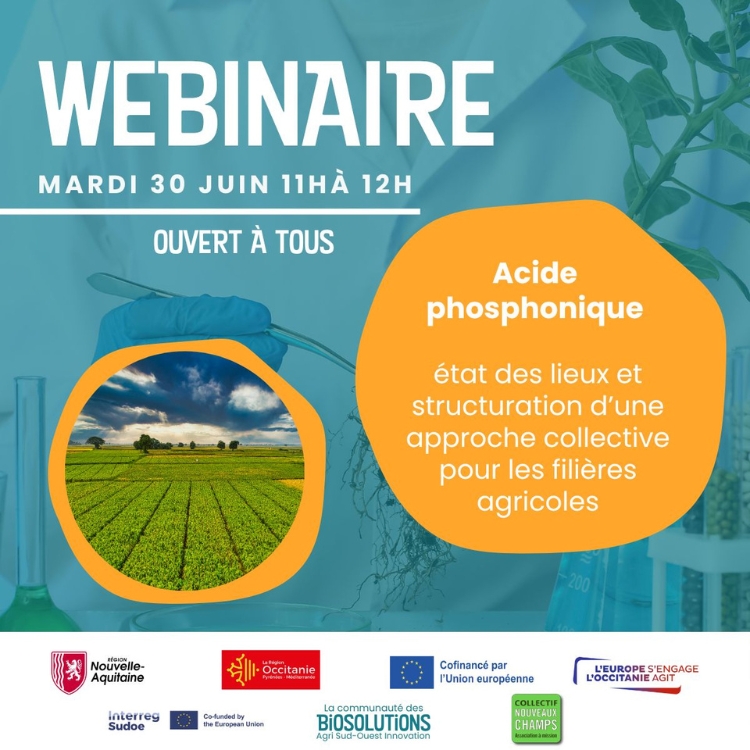 Webinaire