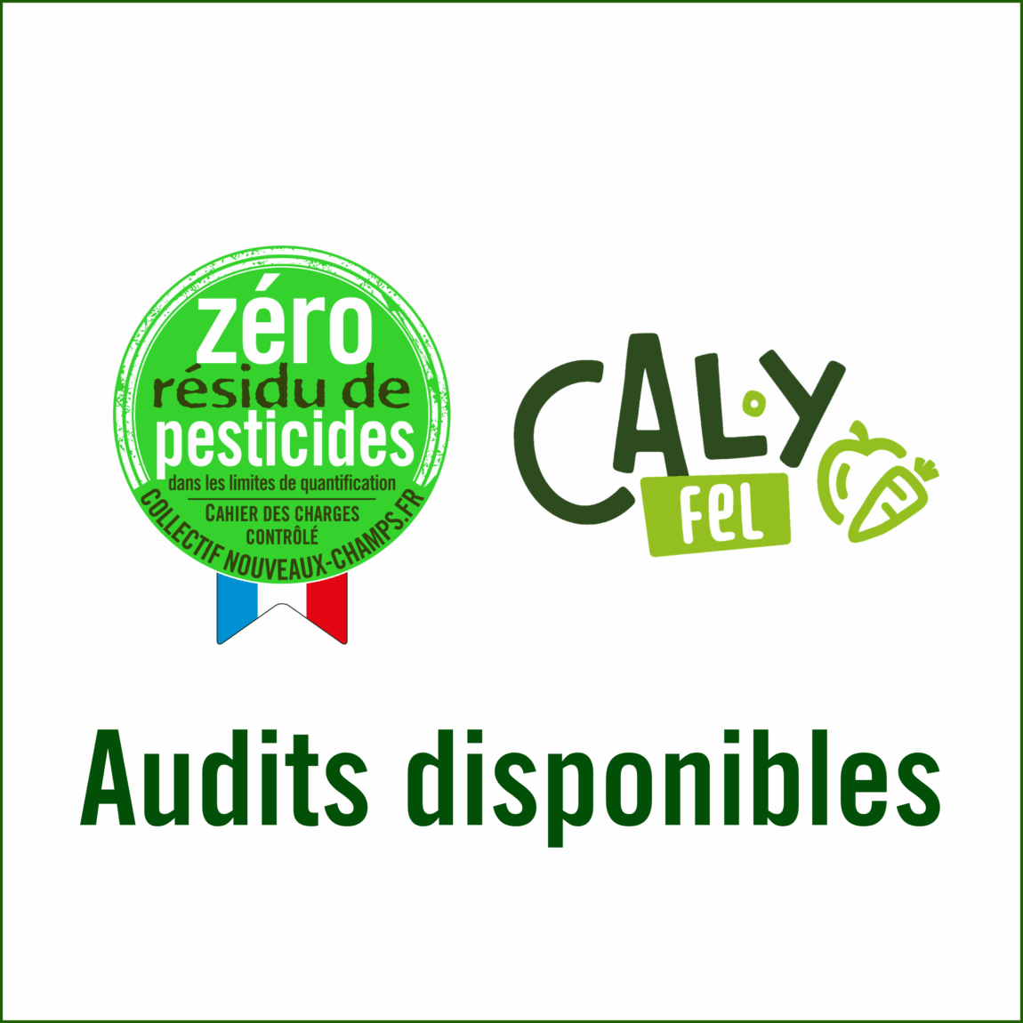 ZRP-audits-dispos.png