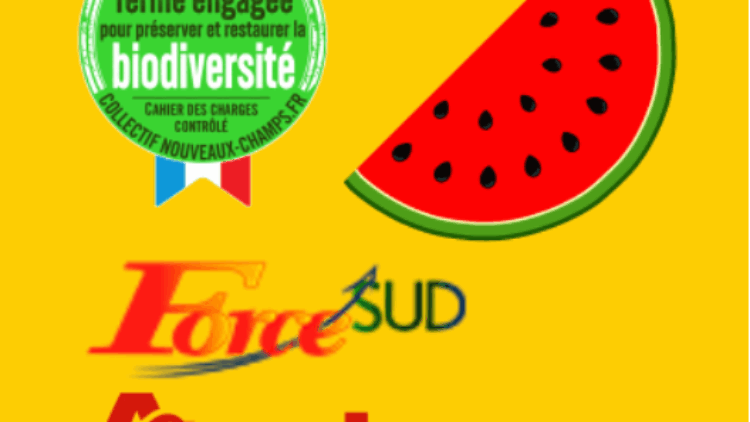 Biodiversité : Force Sud et Auchan donnent une nouvelle dimension à la démarche