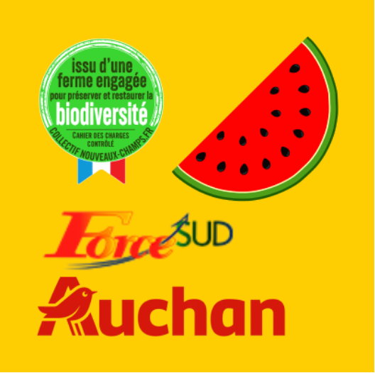 cnc auchan force sud