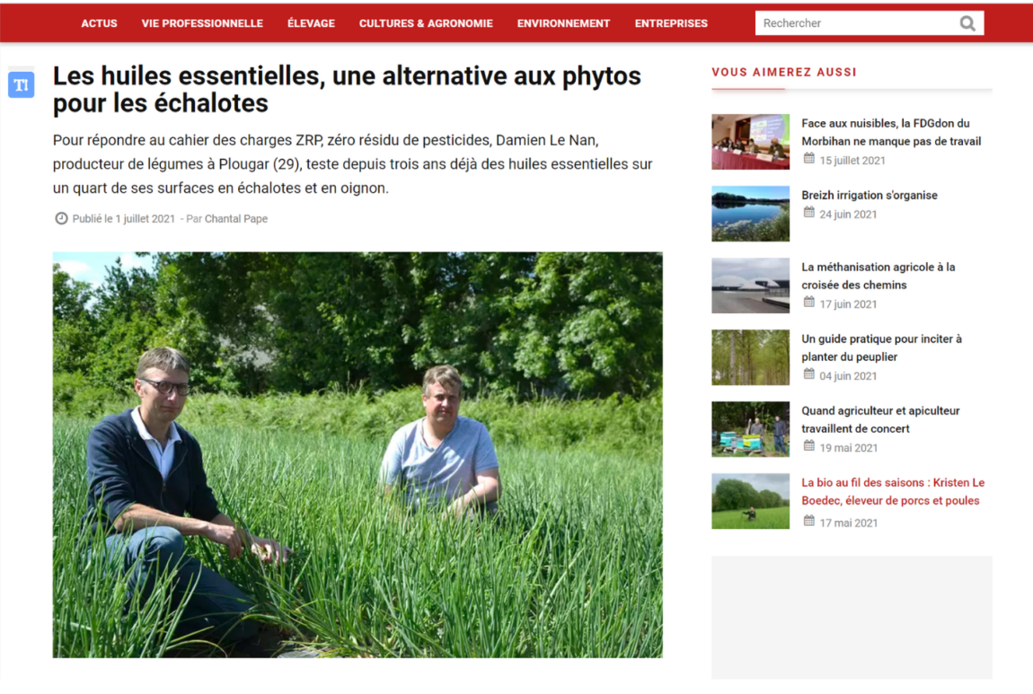 Sans-titre-2.png