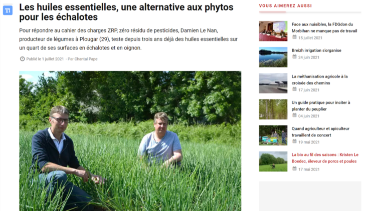 Les huiles essentielles, une alternative aux phytos pour les échalotes