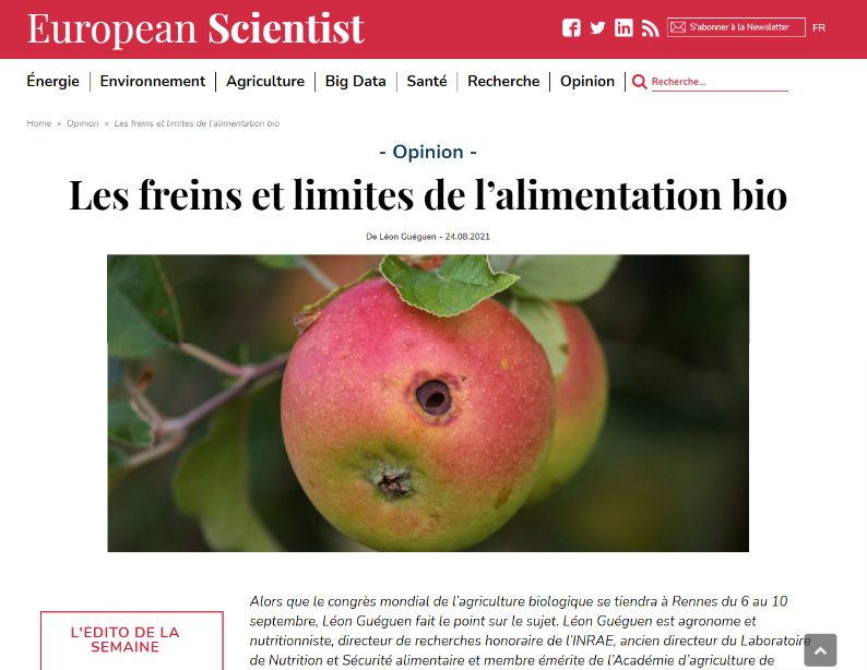 Sans-titre.png